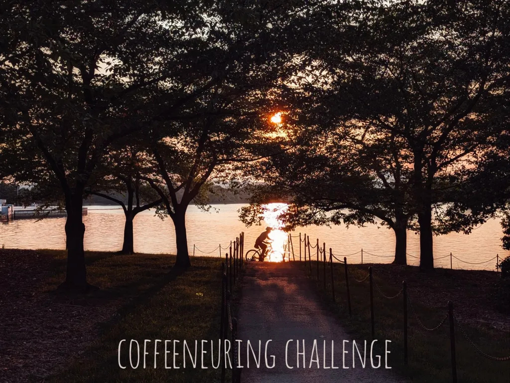 A horizontal colour photograph of a cyclist in a park. The cyclist is seen at the end of a walkway between two grassy areas with trees. Beyond the cyclist is a sunset illuminating the scene golden.