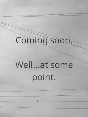 A close crop of telephone wires at various angles. A bird sits on one of them. Over the image the words 'Coming soon. Well... at some point' are written in white letters.