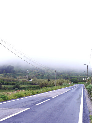 A colour photograph of en empty road on a rainy and foggy day. The top half of the image is engulfed in clouds. Around the road is verdant green vegetation.
