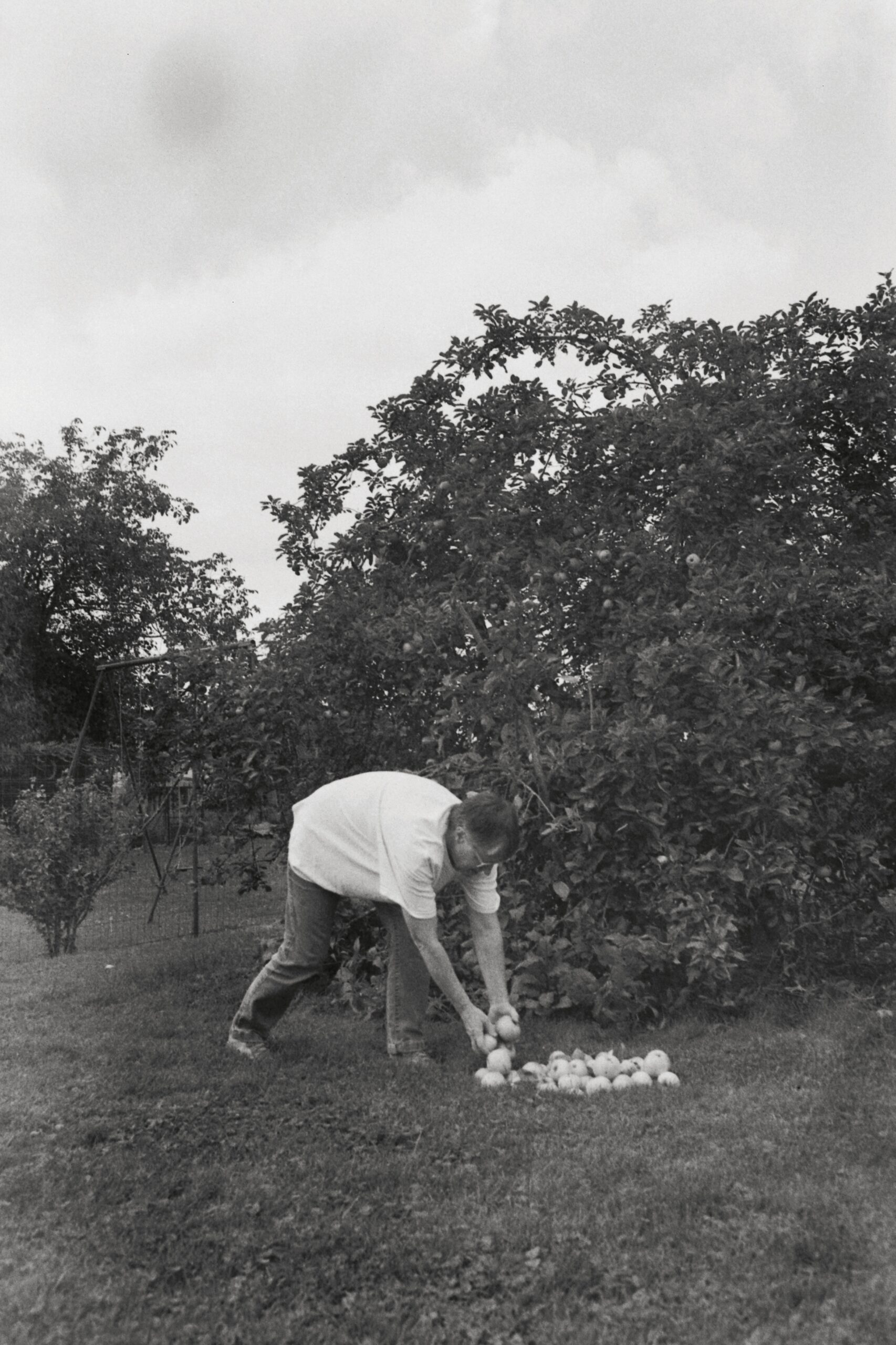 A black and white image of a woman bending down to drop some apples on the ground by an apple tree. The woman is white, wears light coloured jeans and an oversized white t-shirt. She has short hair and glasses.