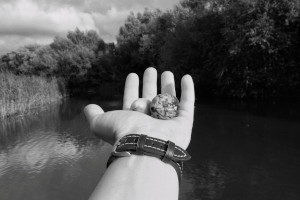 A vertical black and white photograph of my arm and hand extended over a pond. In my palm are a walnut and small apple.